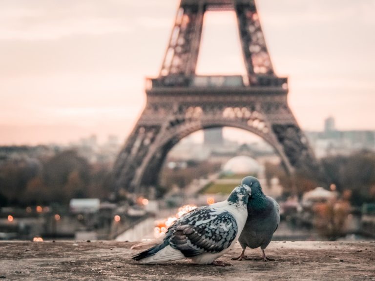 15 razones para enamorarse de París