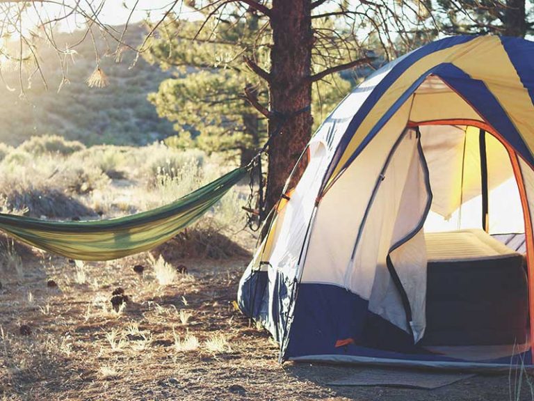 Cama plegable camping
