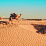 Tatooine, Túnez / Foto: Greg Keelen (unsplash)