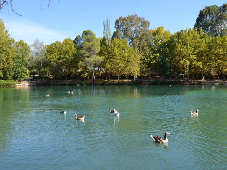 Piscinas naturales: Lago de Anna, Albufera Valenciana